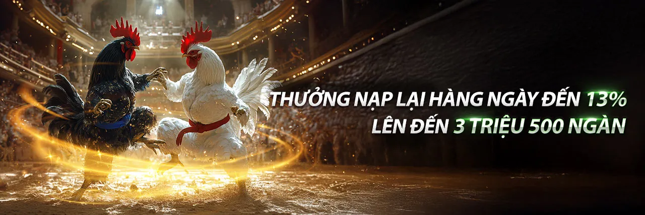 Đá Gà Trực Tuyến dagac3 code - Sân Đấu Chọi Gà Kịch Tính